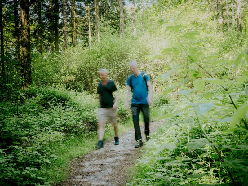 2 Männer wandert auf einem Waldpfad. Sie sind bewußt unscharf fotografiert.